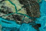 Polished Banded Chrysocolla Slice - Bagdad Mine, Arizona #378911-1